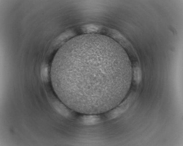 X0000113850378200910081651