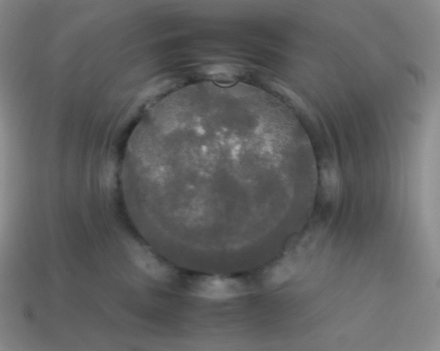 X0000113850379200910081651