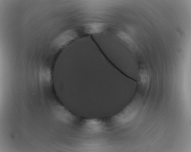 X0000113850380200910081651