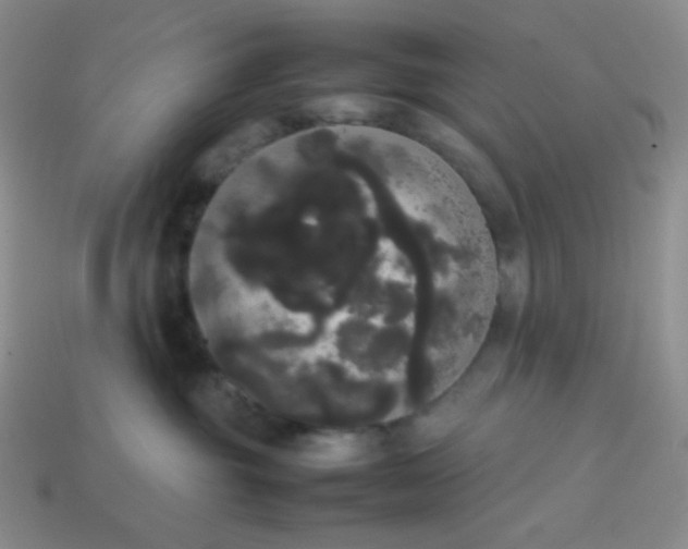 X0000113850381200910081651