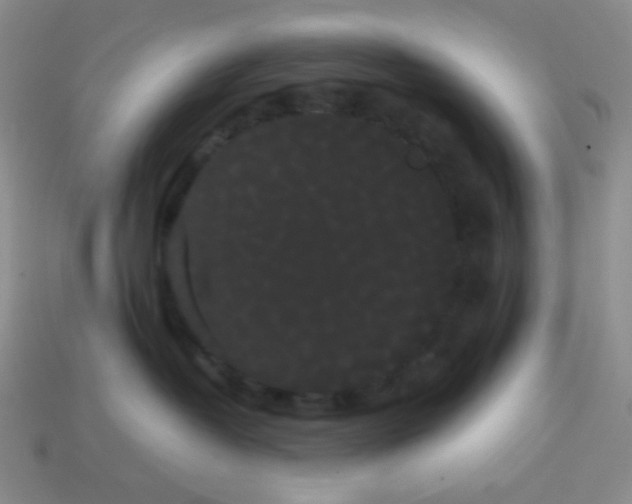 X0000113850382200910081651