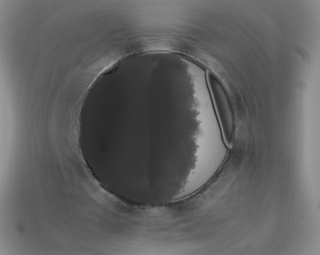 X0000113850385200910081650