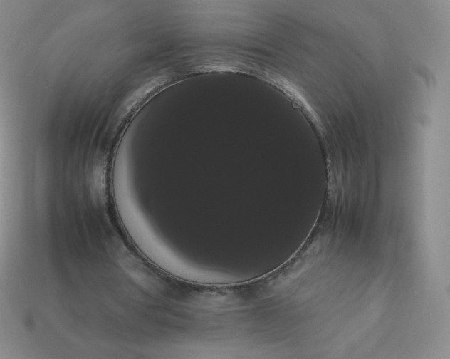 X0000113850386200910081650