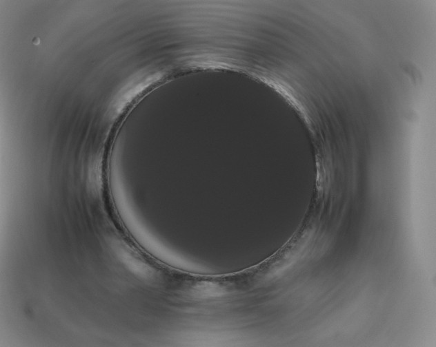 X0000113850390200910081650