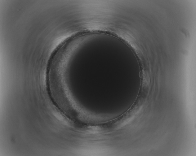 X0000113850391200910081650