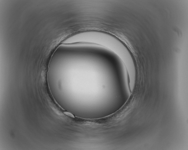 X0000113850393200910081650