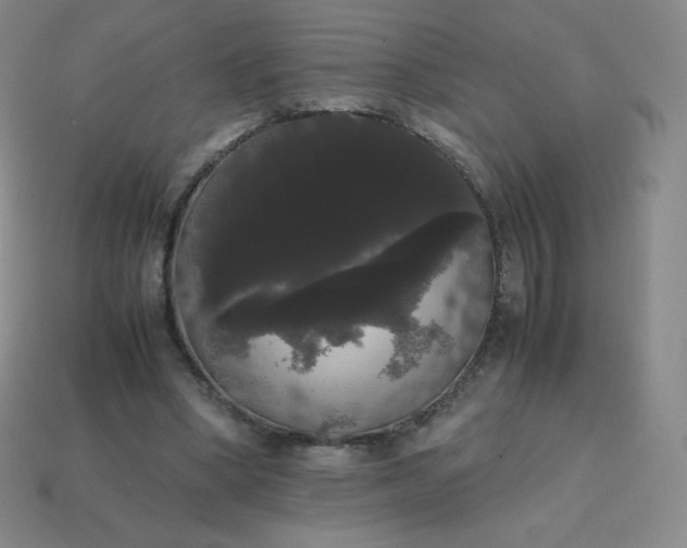 X0000113850394200910081650