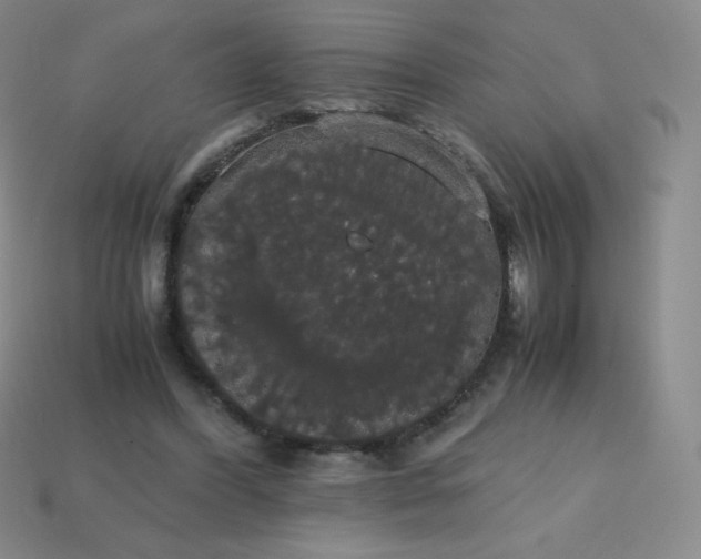 X0000113850396200910081650