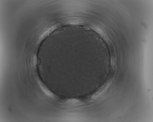 X0000113850397200910081650