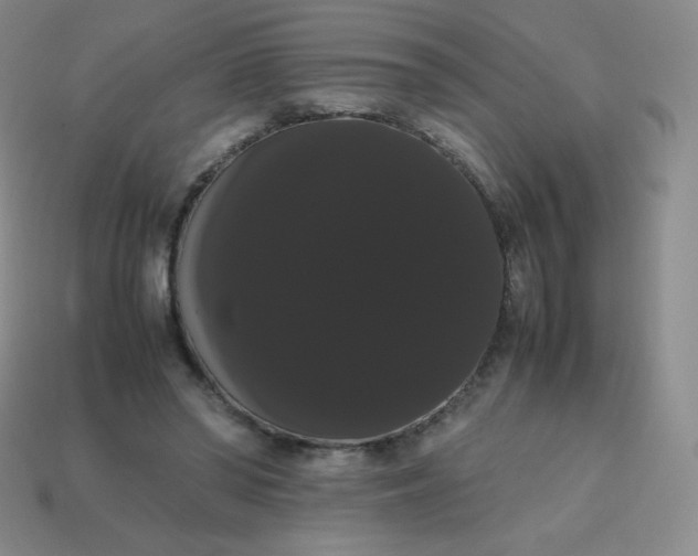 X0000113850398200910081650