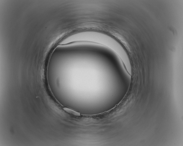 X0000113850399200910081650