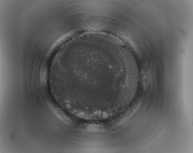 X0000113850400200910081650