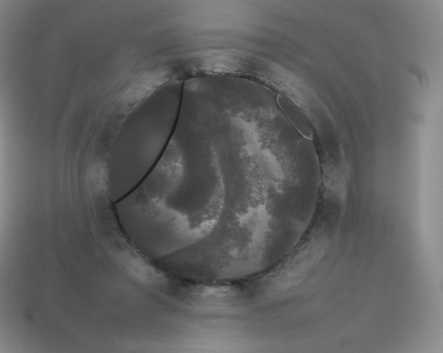 X0000113850401200910081650