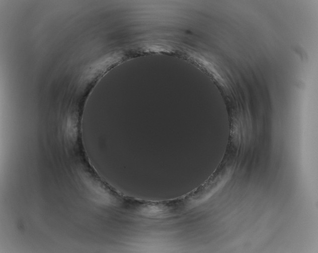 X0000113850402200910081650