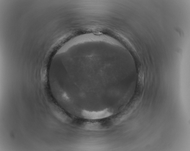 X0000113850403200910081650