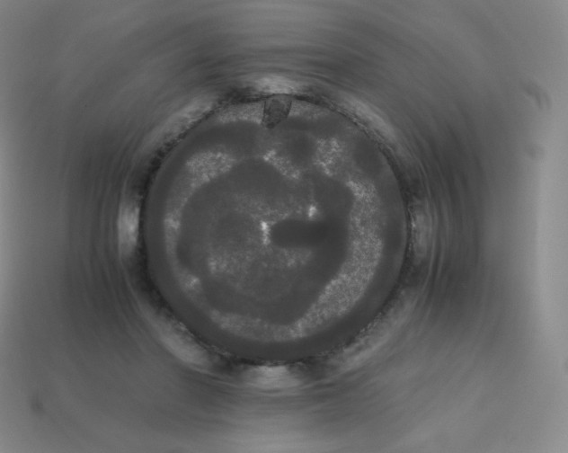 X0000113850406200910081650