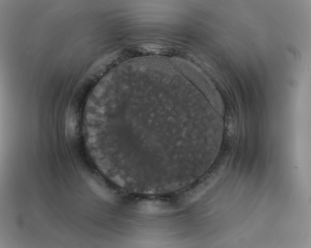 X0000113850408200910081650