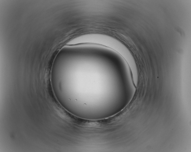 X0000113850409200910081650