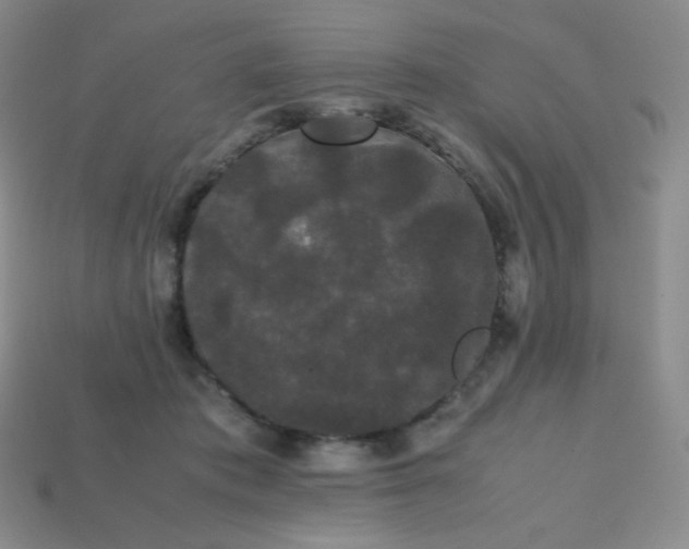 X0000113850413200910081650