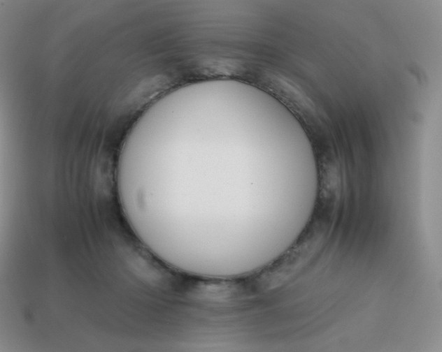 X0000113850414200910081650