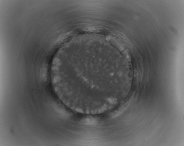 X0000113850416200910081650