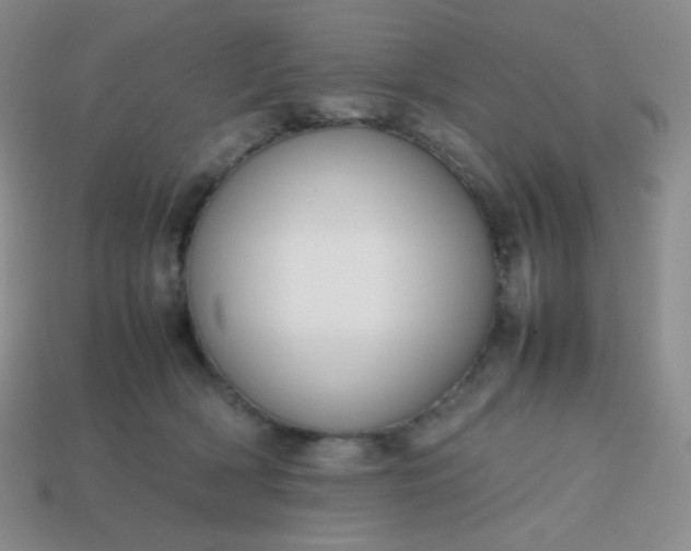 X0000113850418200910081650