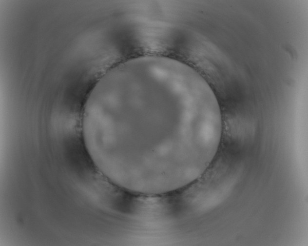 X0000113850419200910081650