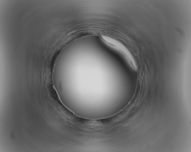 X0000113850421200910081650