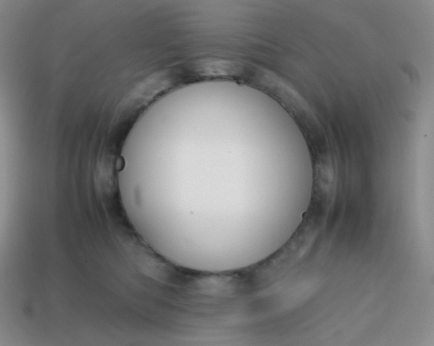 X0000113850422200910081650