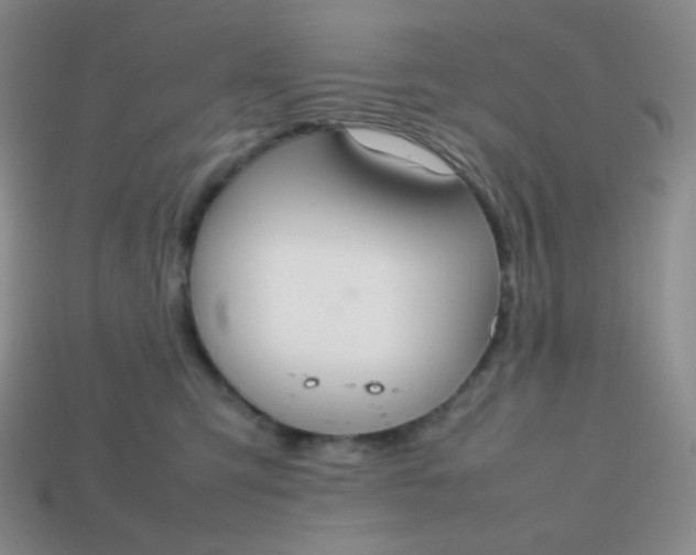 X0000113850423200910081649