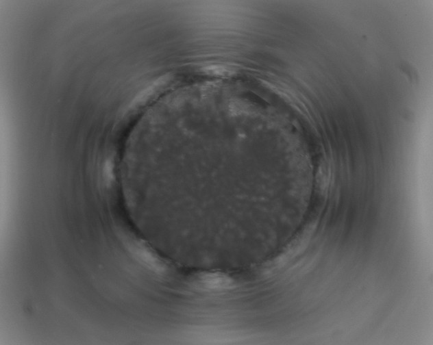 X0000113850424200910081649