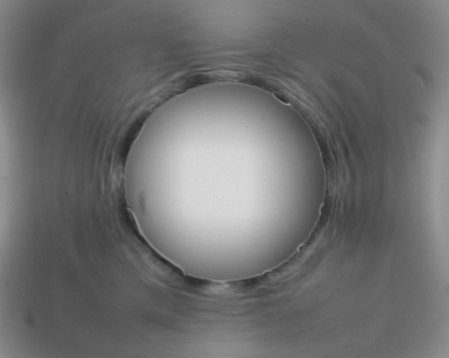 X0000113850425200910081649