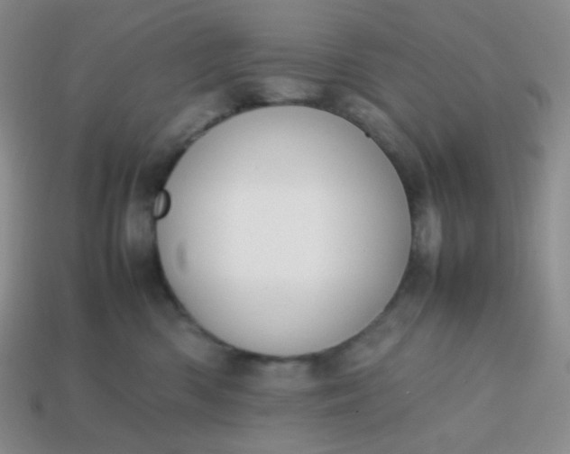 X0000113850426200910081649