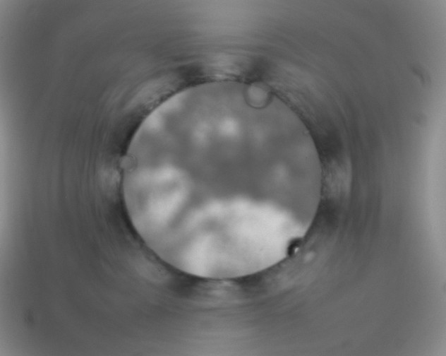 X0000113850427200910081649