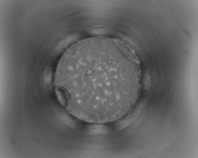 X0000113850428200910081649