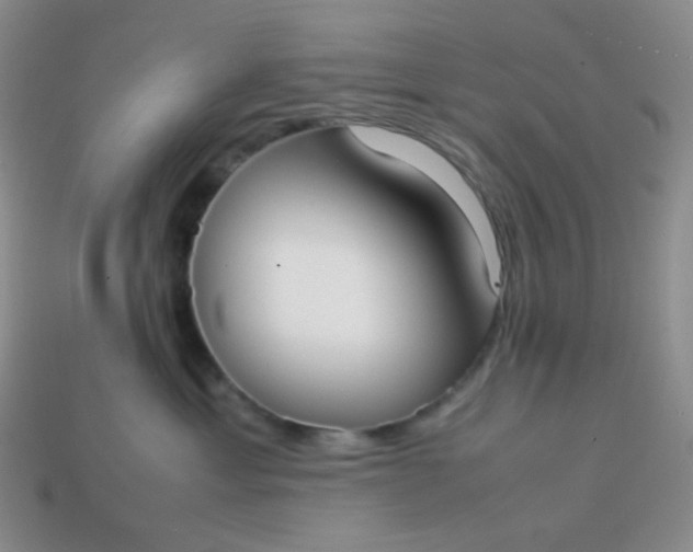 X0000113850429200910081649