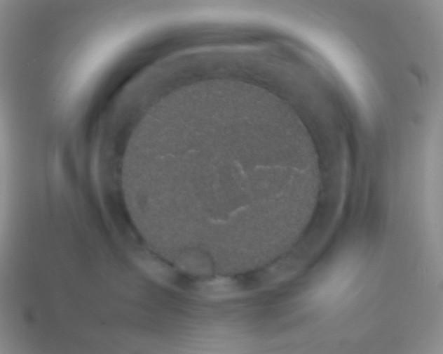 X0000113850431200910081649