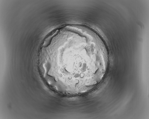 X0000113850433200910081649