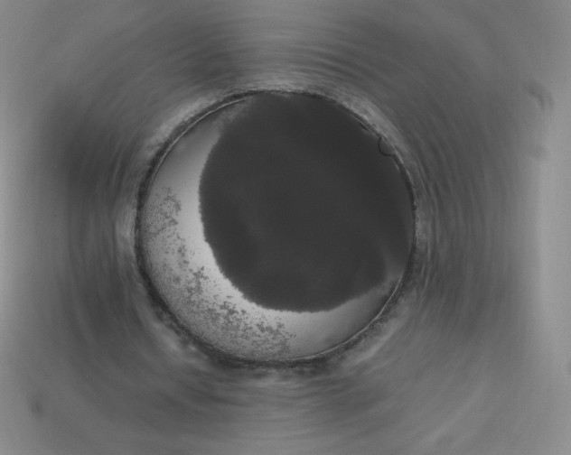 X0000113850434200910081649