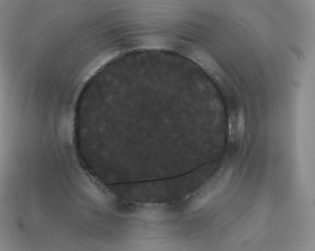 X0000113850436200910081649