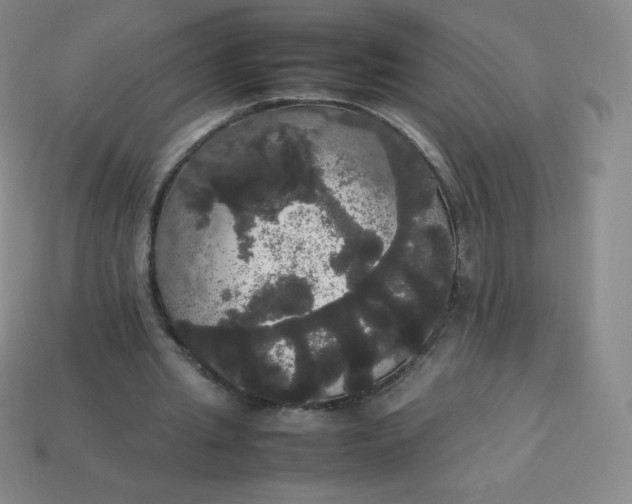 X0000113850437200910081649