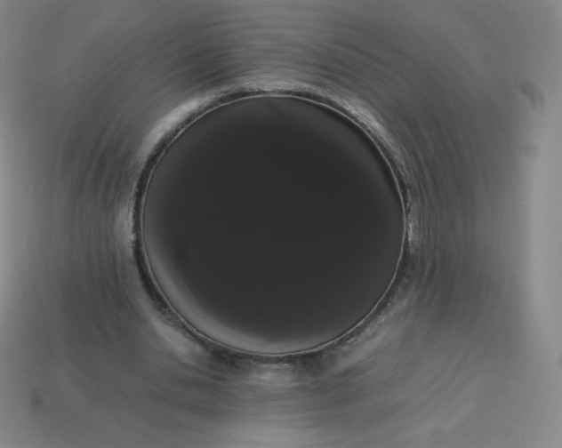 X0000113850438200910081649