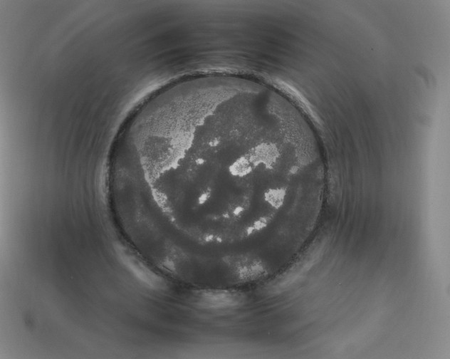 X0000113850439200910081649