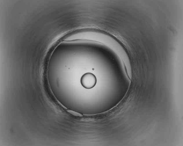 X0000113850440200910081649