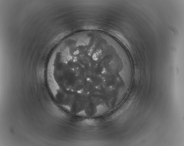 X0000113850441200910081649