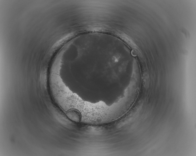 X0000113850442200910081649