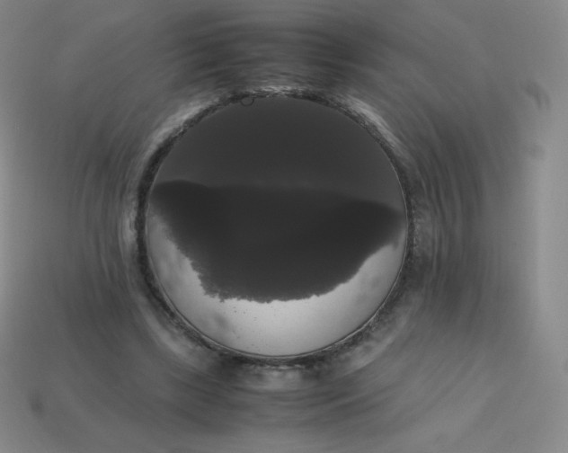 X0000113850443200910081649