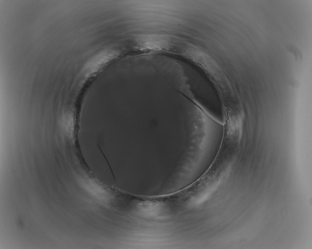 X0000113850444200910081649