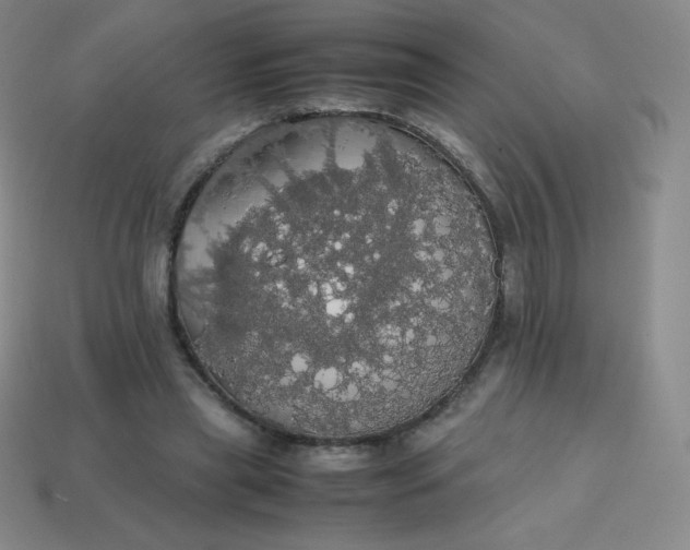 X0000113850445200910081649