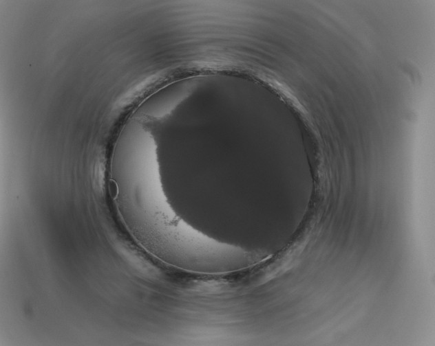 X0000113850446200910081649